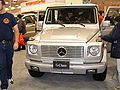 Get 2005 Mercedes G-Class PDF manuals and user guides