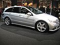 Get 2007 Mercedes R-Class PDF manuals and user guides