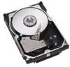 Get Dell 341-4826 - 300 GB Hard Drive PDF manuals and user guides