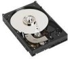Get Dell TT572 - 80 GB Hard Drive PDF manuals and user guides