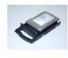 Get EMC FC-30-181U - 181 GB Hard Drive PDF manuals and user guides