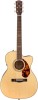 Get Fender PM-3 Limited Adirondack Triple-0 Mahogany PDF manuals and user guides