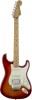 Get Fender Standard Stratocaster Plus Top PDF manuals and user guides