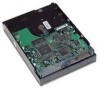 Get HP RJ613AV - 80 GB Hard Drive PDF manuals and user guides