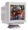 Get NEC FE700 - MultiSync - 17inch CRT Display PDF manuals and user guides