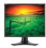 Get NEC LCD1990SX - MultiSync - 19inch LCD Monitor PDF manuals and user guides