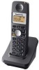 Get Panasonic TD4858868 - 2.4GHz Accessory Handset PDF manuals and user guides