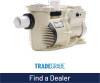 Get Pentair IntelliFloXF Variable Speed Pool and Spa Pump PDF manuals and user guides