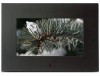 Get Polaroid IDF-750 - Poloroid Digital Photo Frame PDF manuals and user guides