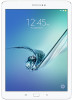 Get Samsung SM-T817V PDF manuals and user guides