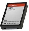 Get SanDisk SD6NB-304G-000000 - SSD 304 GB Hard Drive PDF manuals and user guides
