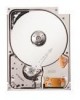 Get Seagate ST760211DE - Lyrion 60 GB Hard Drive PDF manuals and user guides
