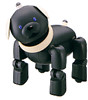Get Sony ERS-312 - Aibo Entertainment Robot PDF manuals and user guides