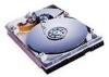 Get Western Digital WD100AB - Caviar 10 GB Hard Drive PDF manuals and user guides