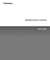 Blackberry Stereo Gateway User Guide