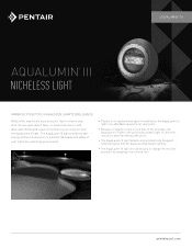 Pentair AquaLumin III Lights AquaLumin III Nicheless Light --English