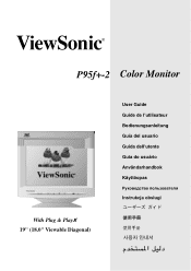 ViewSonic P95fB User Manual