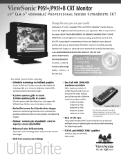 ViewSonic P95fB Brochure
