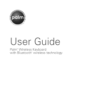 Palm 3245WW User Guide