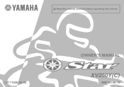 2009 Yamaha Motorsports V Star 250 Owners Manual